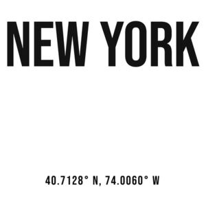 Umělecká fotografie New York simple coordinates, Finlay Noa