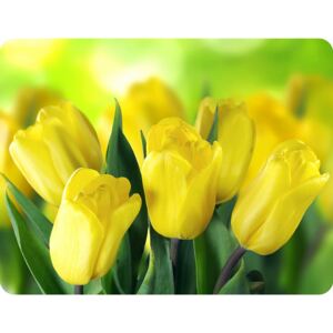 Tulipány - žluté