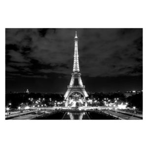 Obraz Eiffelovy věže (K010518K9060)