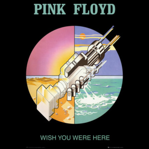 Plakát, Obraz - Pink Floyd - wish you were here 2, (61 x 91,5 cm)