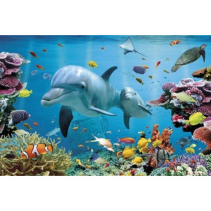 Plakát, Obraz - Tropical uderwater ocean, (91,5 x 61 cm)
