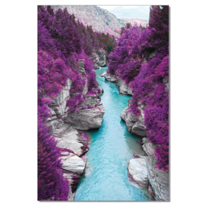 Obraz na zeď - Řeka ve fialovém lese, (80 x 120 cm)