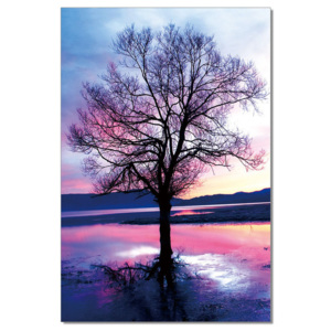 Obraz na zeď - Růžový strom, (80 x 120 cm)