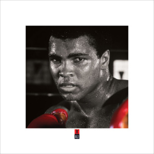 Obraz, Reprodukce - Muhammad Ali Boxing S., (40 x 40 cm)