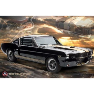 Plakát, Obraz - Ford Shelby - Mustang 66 gt350, (91,5 x 61 cm)