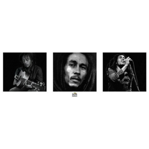 Plakát, Obraz - Bob Marley - 3 images (B&W), (91 x 30 cm)