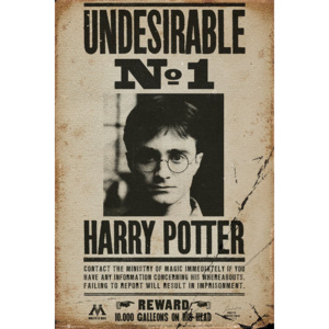 Plakát, Obraz - HARRY POTTER - Undesirable n2, (61 x 91,5 cm)