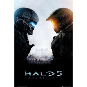 Plakát, Obraz - Halo 5 - Guardians, (61 x 91,5 cm)
