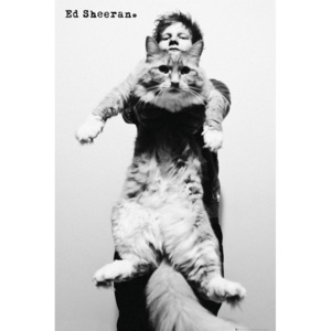 Plakát, Obraz - Ed Sheeran - cat, (61 x 91,5 cm)