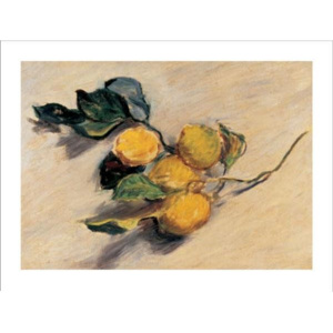 Obraz, Reprodukce - Větévka citroníku, Claude Monet, (80 x 60 cm)