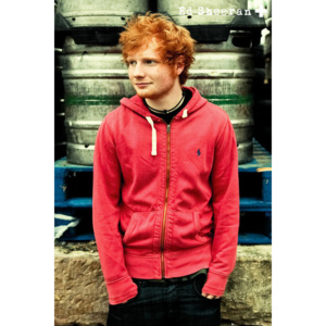 Plakát, Obraz - Ed Sheeran - Pin Up, (61 x 91,5 cm)