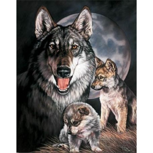 Plechová cedule GRAHAM - Wolf Experience, (31,5 x 40 cm)