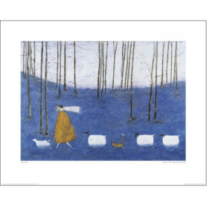 Obraz, Reprodukce - Sam Toft - Tiptoe Through The Bluebells, (50 x 40 cm)