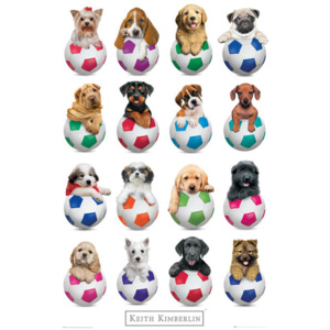 Plakát, Obraz - Keith Kimberlin - Puppies Footballs, (61 x 91,5 cm)