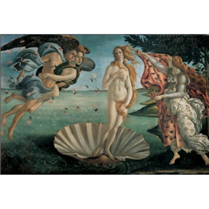 Obraz, Reprodukce - Zrození Venuše, Sandro Botticelli, (50 x 35 cm)