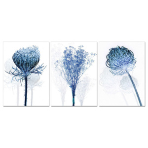 Obraz na zeď - Moderní design - květiny modré, (150 x 70 cm)