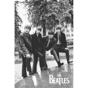 Plakát, Obraz - The Beatles - Pose, (61 x 91,5 cm)