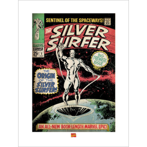 Obraz, Reprodukce - Silver Surfer, (60 x 80 cm)