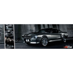 Plakát, Obraz - Easton - Shelby GT 500, (158 x 53 cm)