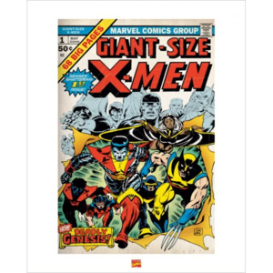 Obraz, Reprodukce - X-Men, (40 x 50 cm)
