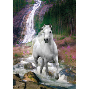 Plakát, Obraz - Kůň - Vodopád, Bob Langrish, (100 x 140 cm)