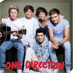 Obraz na plátně One Direction - guitar, (40 x 40 cm)
