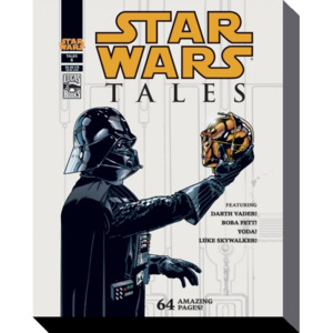 Obraz na plátně Star Wars - Tales, (40 x 50 cm)