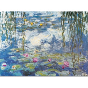 Obraz, Reprodukce - Lekníny, 1916-1919, Claude Monet, (80 x 60 cm)