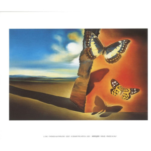 Obraz, Reprodukce - Krajina s motýly, 1956, Salvador Dalí, (30 x 24 cm)
