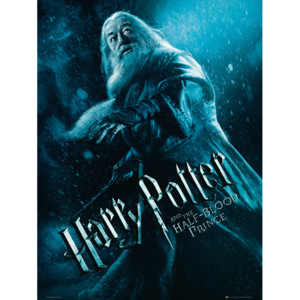 Obraz, Reprodukce - Harry Potter a Princ dvojí krve - Albus Brumbál, (60 x 80 cm)
