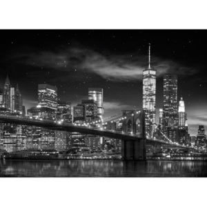 Plakát, Obraz - New York - Freedom Tower (B&W), (140 x 100 cm)