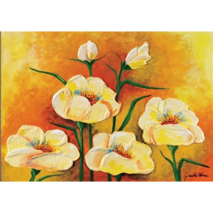 Obraz, Reprodukce - Sasanky v květu, Maria Teresa Gianola, (70 x 70 cm)