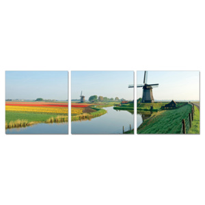 Obraz na zeď - Holandsko - mlýny s polem tulipánů, (180 x 60 cm)