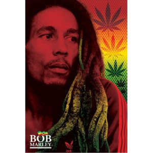 Plakát, Obraz - Bob Marley - dreads, (61 x 91,5 cm)