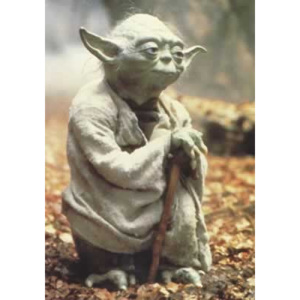 Plakát, Obraz - Star Wars - Empire strikes back, Yoda, (68,5 x 101,5 cm)