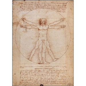 Obraz, Reprodukce - Vitruvius - Proporce lidské postavy, Leonardo Da Vinci, (60 x 80 cm)