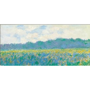 Obraz, Reprodukce - Pole žlutých kosatců v Giverny, Claude Monet, (100 x 50 cm)