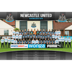 Plakát, Obraz - Newcastle United FC - Team Photo 14/15, (91,5 x 61 cm)