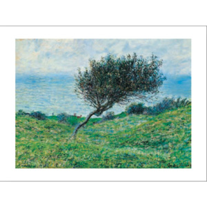 Obraz, Reprodukce - Mořské pobřeží v Trouville, Claude Monet, (70 x 50 cm)
