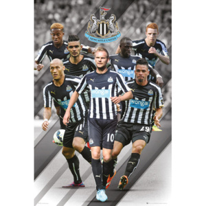 Plakát, Obraz - Newcastle United FC - Players 14/15, (61 x 91,5 cm)