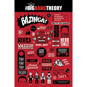 Plakát, Obraz - BIG BANG THEORY - infographic, (61 x 91,5 cm)