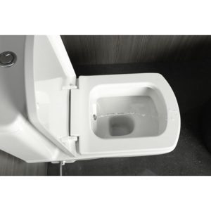 KALE - BASIC wc mísa kombi s integrovaným bidetem, spodní/zadní odpad, 35x61cm (71122340)