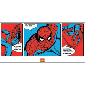 Obraz, Reprodukce - Spider-Man - Triptych, (100 x 50 cm)