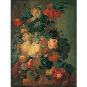 Obraz, Reprodukce - Zátiší s květinami, Jan van Os, (60 x 80 cm)