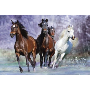 Plakát, Obraz - Running horses - bob langrish, (91,5 x 61 cm)