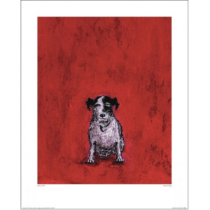 Obraz, Reprodukce - Sam Toft - Small Dog, (40 x 50 cm)