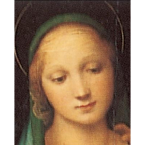 Obraz, Reprodukce - Rafael Santi - Madona del Granduca, 1505 (část), Raffaello, (35 x 50 cm)
