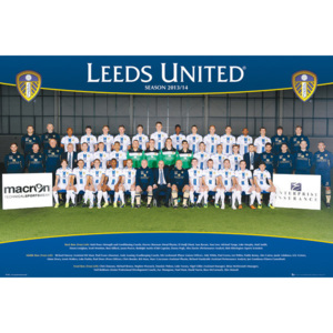 Plakát, Obraz - Leeds United AFC - Team Photo 13/14, (91,5 x 61 cm)