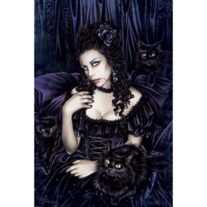 Plakát, Obraz - Victoria Frances - black cat, (61 x 91,5 cm)