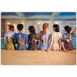 Plakát, Obraz - Pink Floyd - back catalogue, (91,5 x 61 cm)